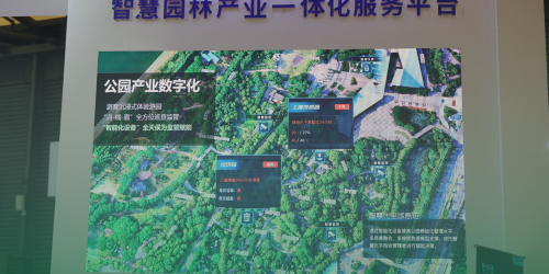 网站6 网站6